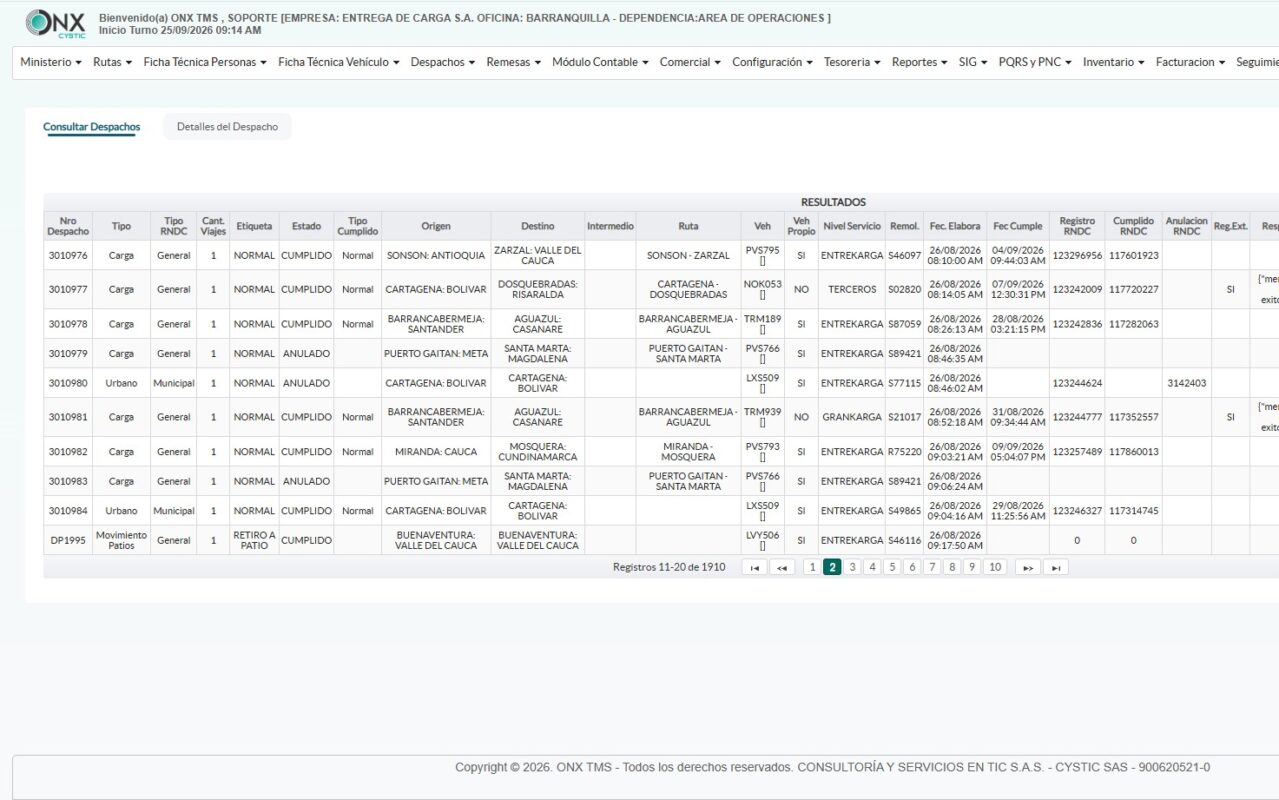 ONX TMS · Carga masiva: consulta de despachos con registro y cumplido RNDC