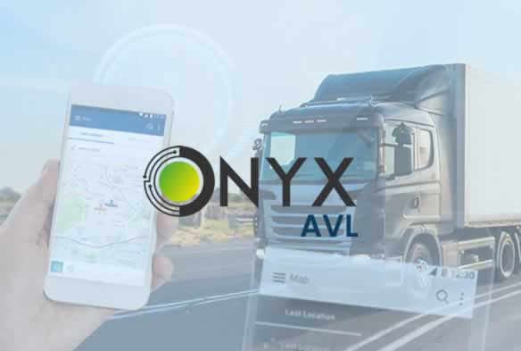 Software para transporte especial