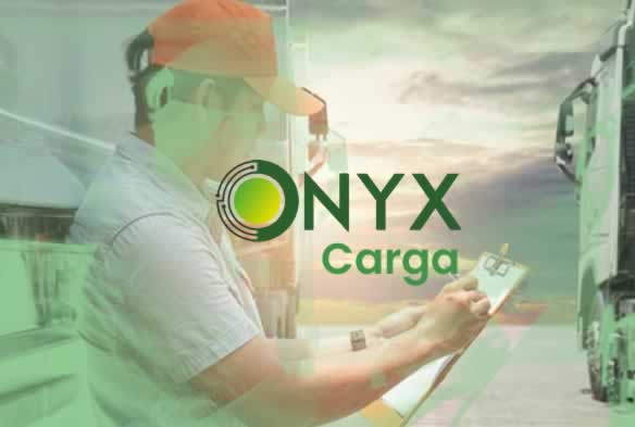 Software para transporte de carga