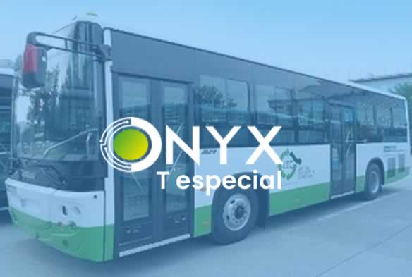 Software para transporte especial